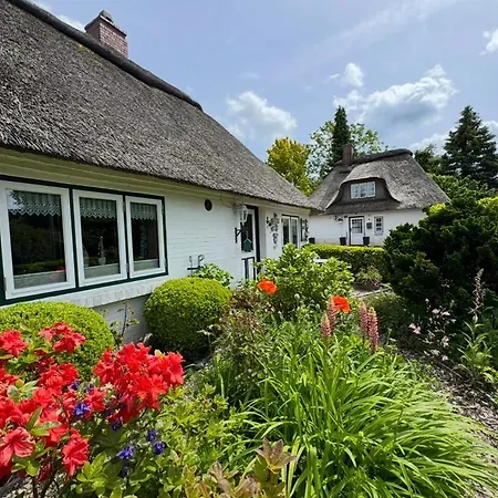 Emmis-ferienhaus *