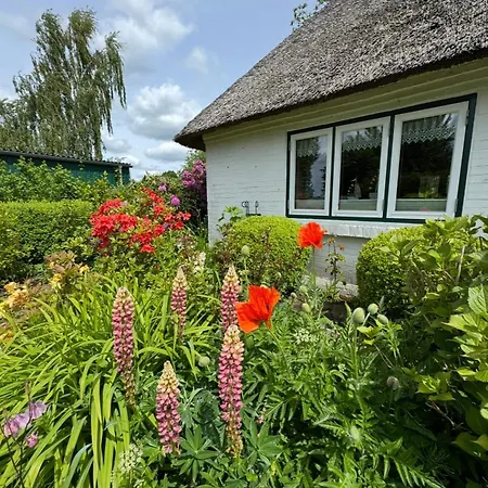 Emmis-ferienhaus